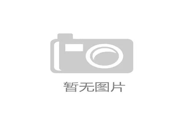 2026世界杯小组资格解析